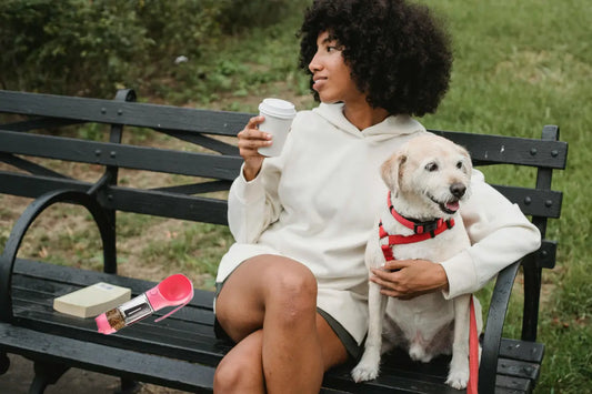 How to Keep Your Dog Hydrated on Walks, Travel, and Hot Days - DogRelief