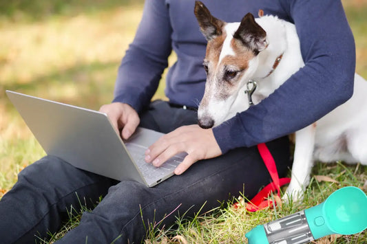 Best Portable Dog Water Bottles for Walks, Travel, and Outdoor Adventures - DogRelief