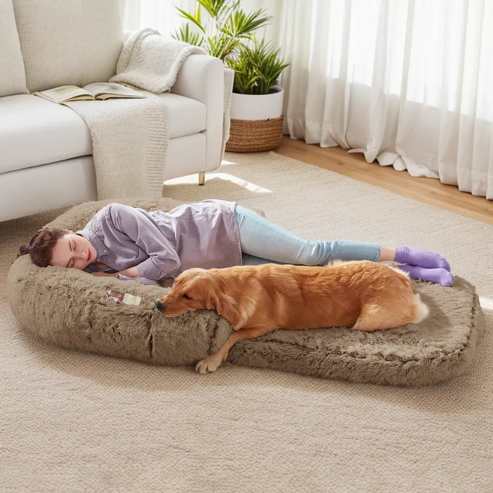 Orthopedic Memory Foam Bed for Senior Dogs – Relieves Joint Pain & Restores Deep Sleep (Grey, Washable Cover) - DogRelief