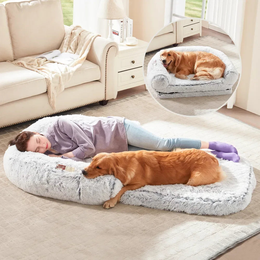 Orthopedic Memory Foam Bed for Senior Dogs – Relieves Joint Pain & Restores Deep Sleep (Grey, Washable Cover) - DogRelief
