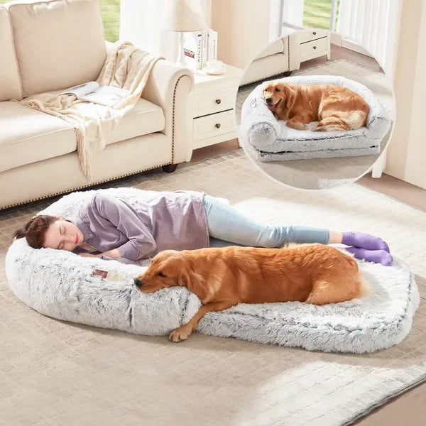 Orthopedic Memory Foam Bed for Senior Dogs – Relieves Joint Pain & Restores Deep Sleep (Grey, Washable Cover) - DogRelief