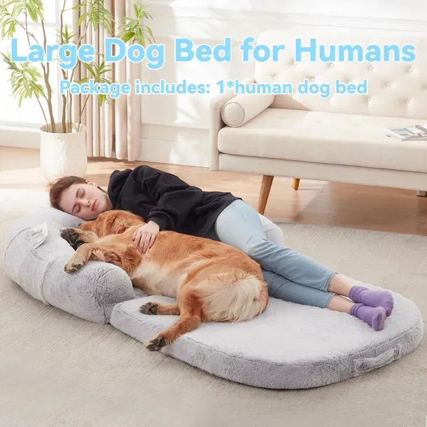 Orthopedic Memory Foam Bed for Senior Dogs – Relieves Joint Pain & Restores Deep Sleep (Grey, Washable Cover) - DogRelief